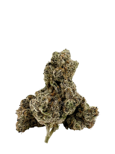Zangria | Craft Batch Indoor | Organic Living Soil image 0