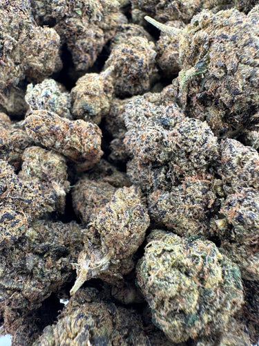 Blue Nerds | Premium Indoor