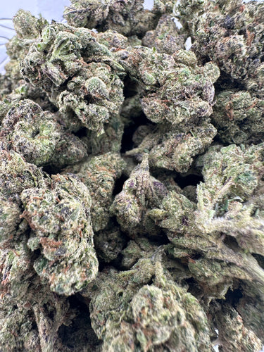 Blue Zushi | Small Batch Indoor | Organic Living Soil