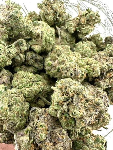 Blueberry Caviar | Small Batch Indoor | Organic Living Soil