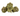 Blueberry Caviar | Small Batch Indoor | Organic Living Soil