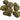 Dulce De Leche (smalls) | Session | Indica