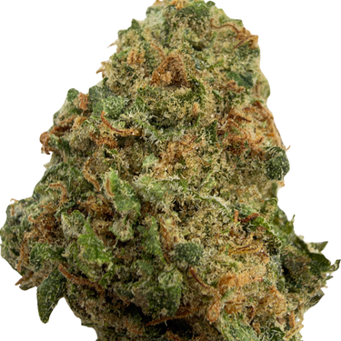 Dulce De Leche (smalls) | Session | Indica