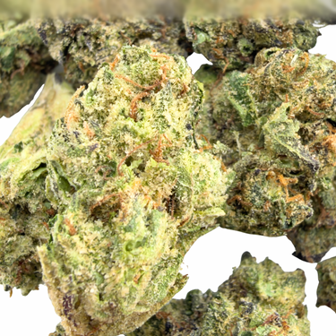 G13 (smalls) | Session | Indica