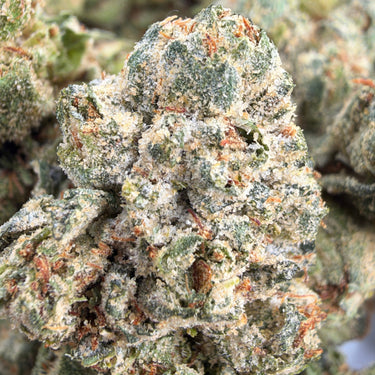 Caviar Runtz (smalls) | Session | Hybrid