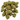 Grape Head (smalls) | Session | Sativa