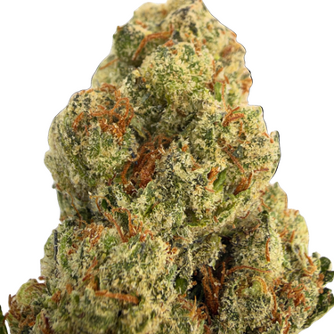 Grape Head | Premium | Sativa