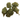 Jet Fuel Gelato (smalls) | Session | Hybrid