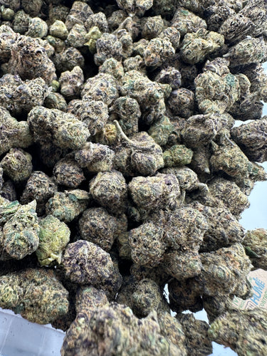 Lato Pop | Premium Indoor