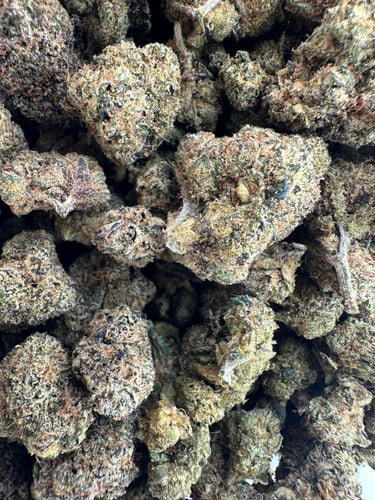 Lemon Bars | Small Batch Indoor | Living Soil