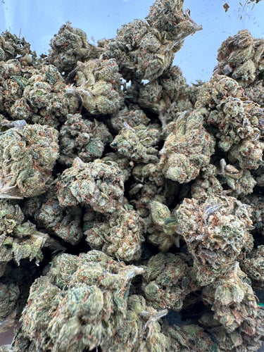 Skywalker OG | Small Batch Indoor | Organic Living Soil