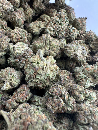 Crunch Berries | Premium Indoor