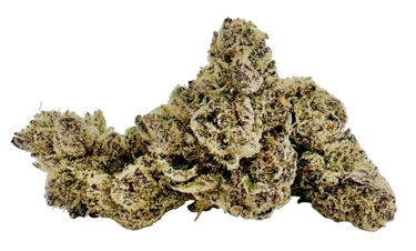 Sour WiFi Cookies | Craft Batch Indoor | Organic Living Soil image 0
