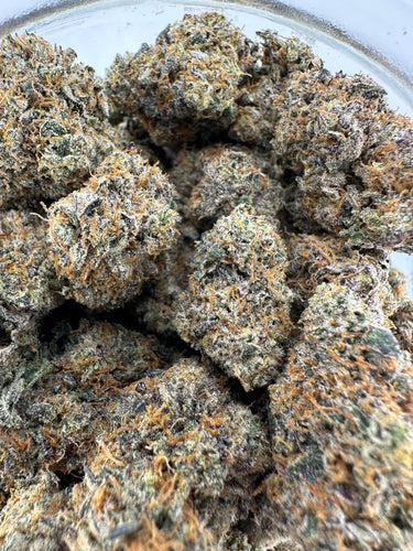 Rainbow Belts | Craft Batch Indoor | Organic Living Soil